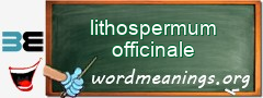 WordMeaning blackboard for lithospermum officinale